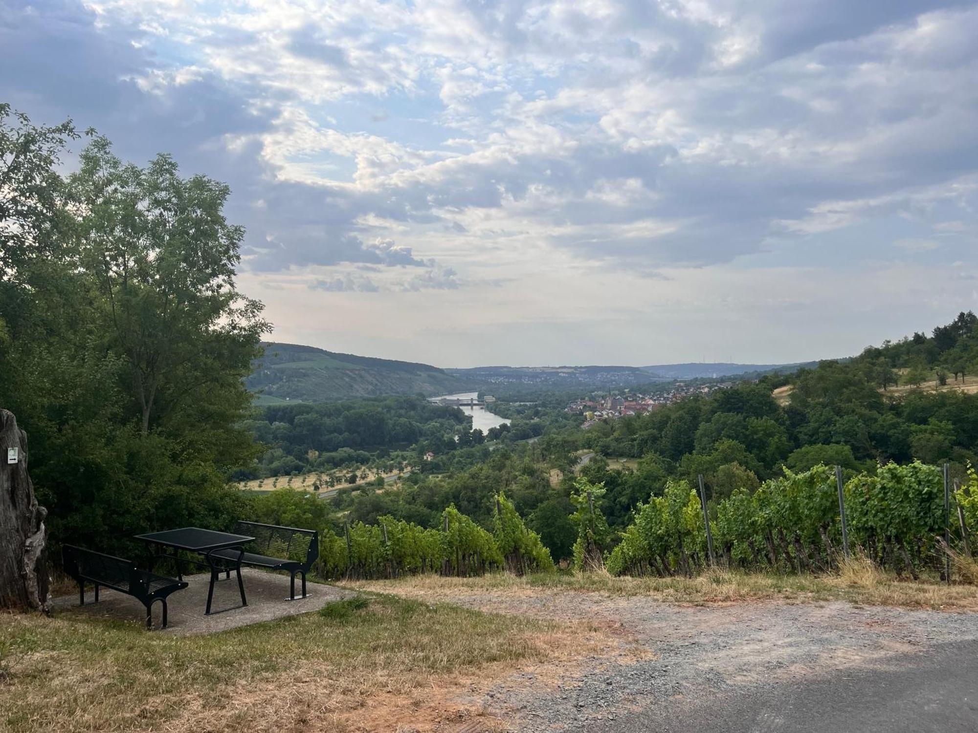Ferienhaus Weinbergblick - Nahe Wuerzburg - 2 Schlafzimmer - Familienfreundlich - Terrasse Unterleinach Exteriör bild