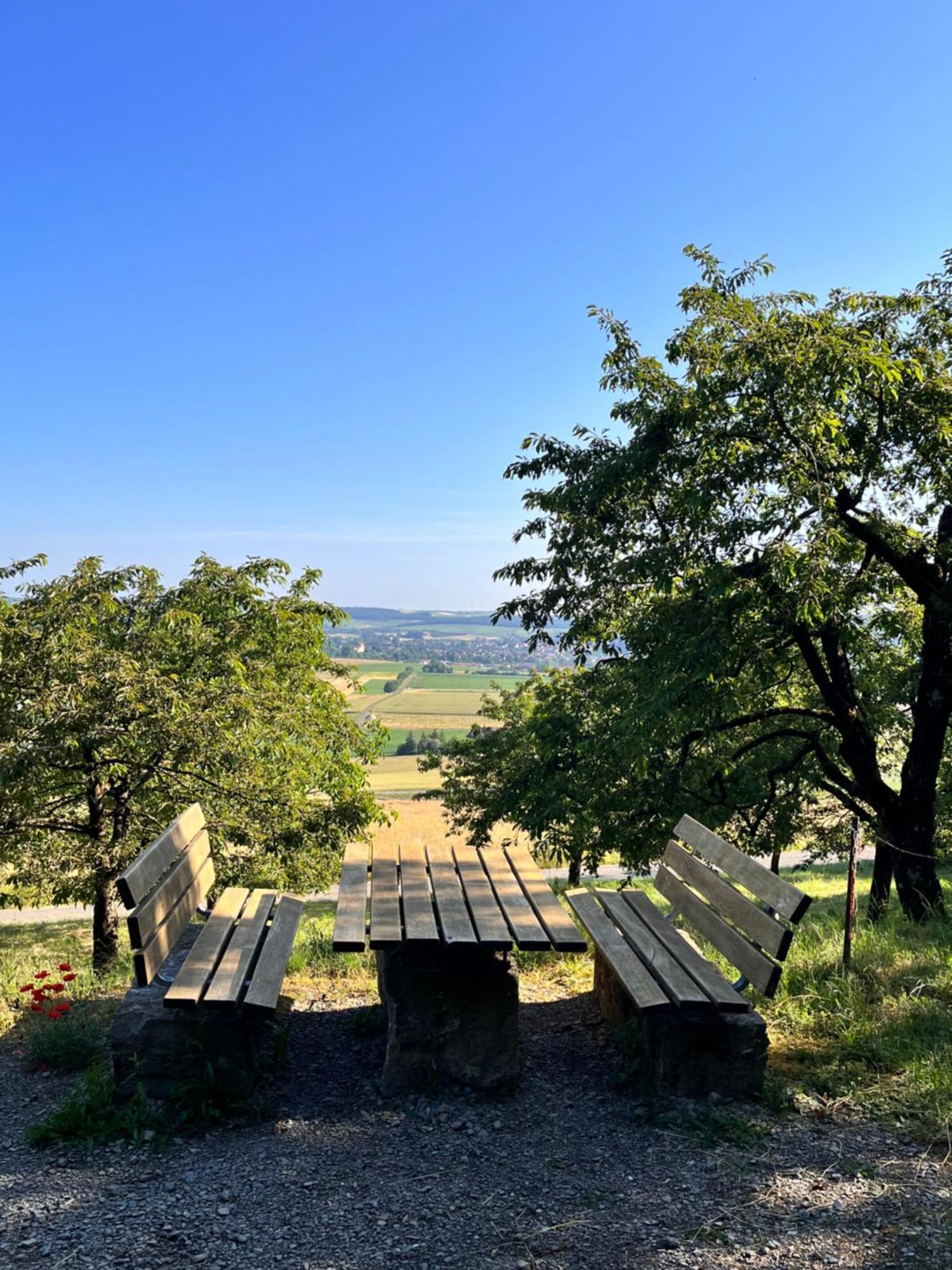 Ferienhaus Weinbergblick - Nahe Wuerzburg - 2 Schlafzimmer - Familienfreundlich - Terrasse Unterleinach Exteriör bild