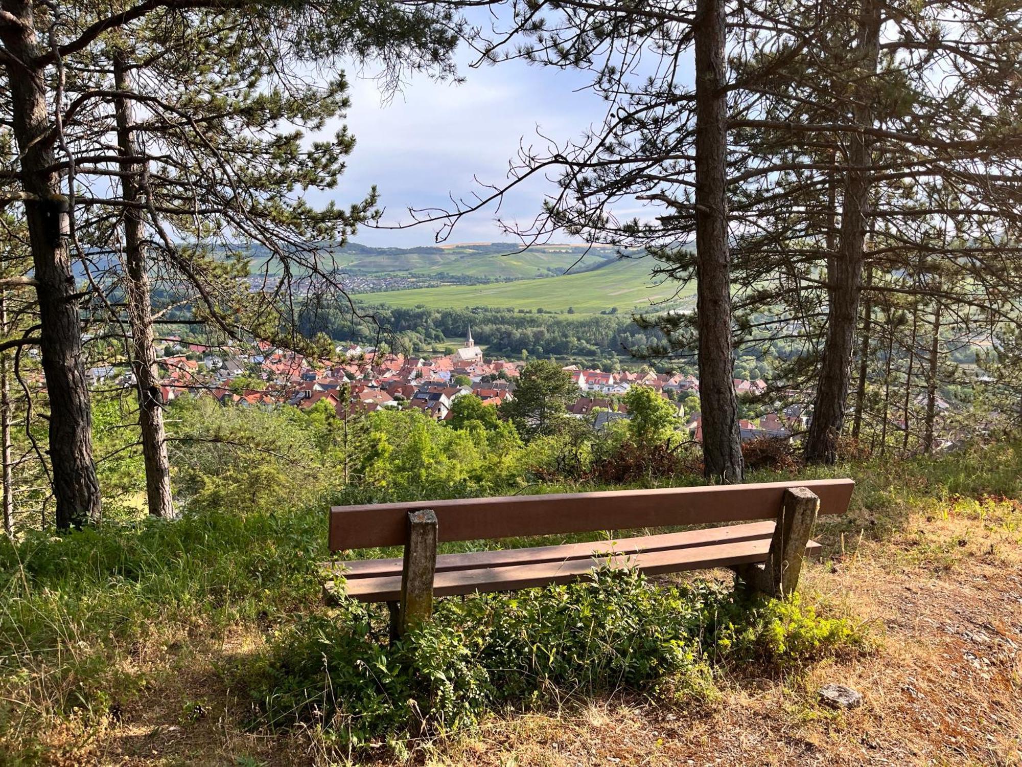 Ferienhaus Weinbergblick - Nahe Wuerzburg - 2 Schlafzimmer - Familienfreundlich - Terrasse Unterleinach Exteriör bild