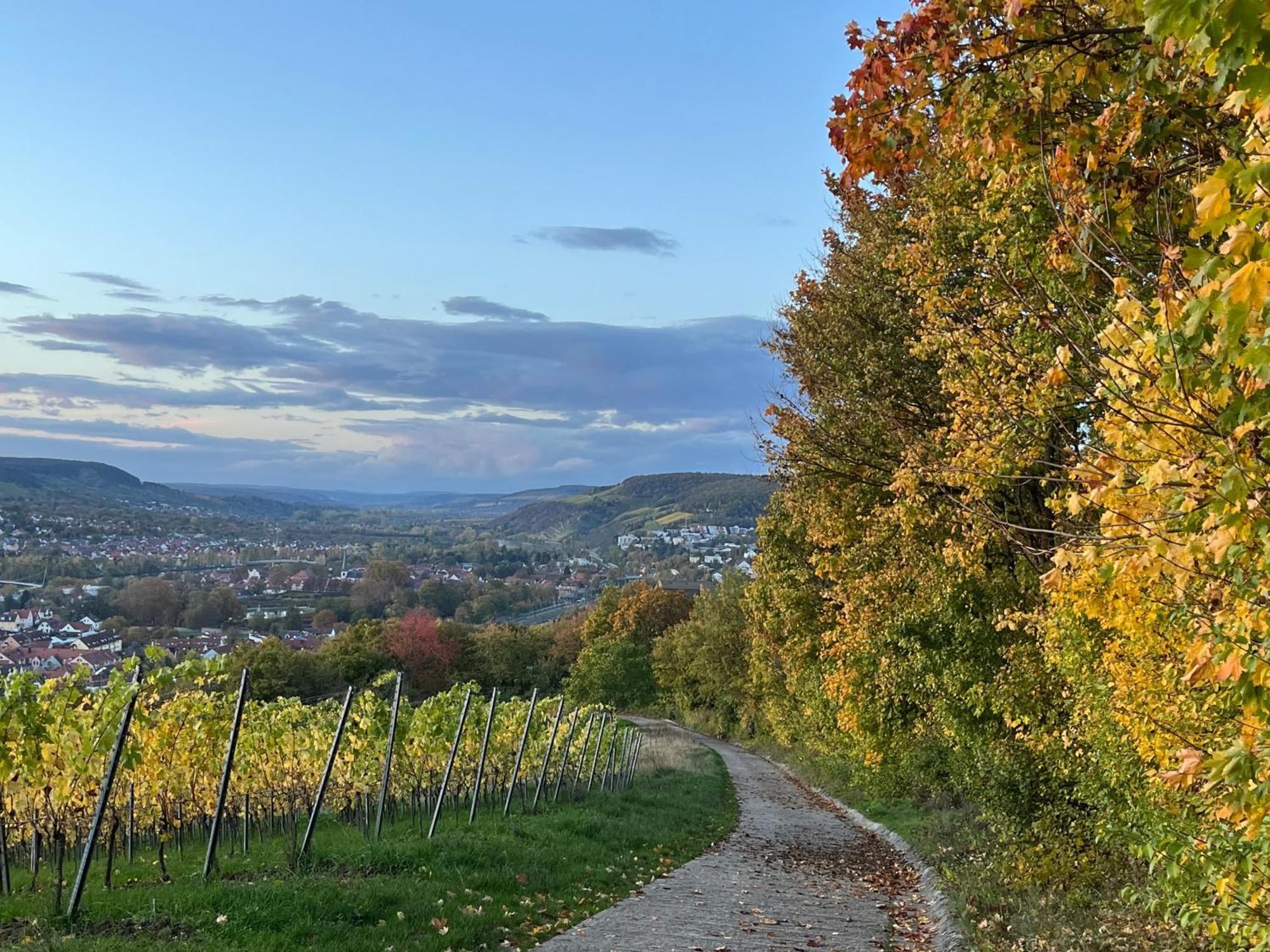 Ferienhaus Weinbergblick - Nahe Wuerzburg - 2 Schlafzimmer - Familienfreundlich - Terrasse Unterleinach Exteriör bild